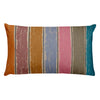 Rainbow Grunge Premium Pillow